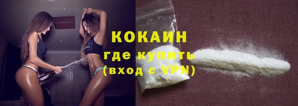 стаф Козельск