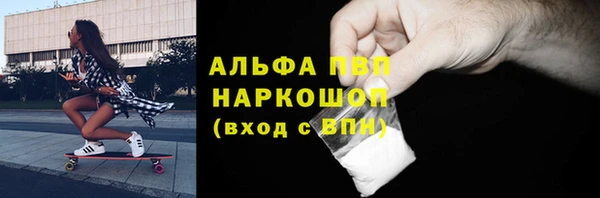 стаф Козельск