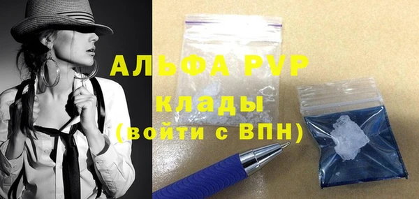 стаф Козельск